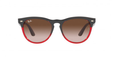 Ray-Ban Iris Ochelari de Soare RB 4471 6631/13 foto