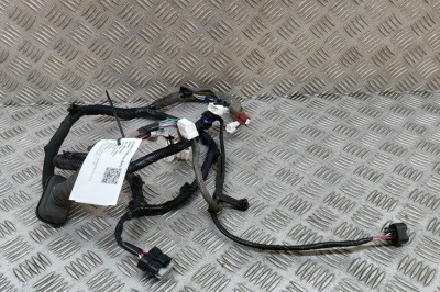 Cablaj ușă dreapta față NISSAN QASHQAI II J11, J11_ 2017 OEM: 24124-HV00B 28253495 foto