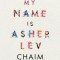 My Name Is Asher Lev