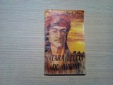 IN TARA LEULUI DE ARGINT - Karl May - Editura Pan, 1993, 191 p., Alta editura