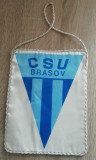 M3 C7 - Tematica cluburi sportive - CSU Brasov