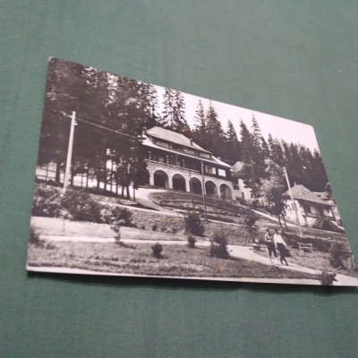 CARTE POSTALA VEDERE DIN BORSEC CIRCULATA foto