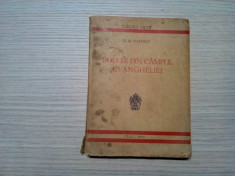 RODURI DIN CAMPUL EVANGHELIEI - G. M. Ivanov - Cluj, 1937, 142 p. foto