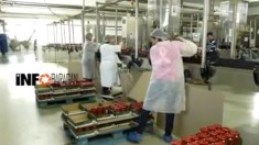 fabrica de compoturi Germania