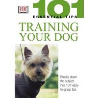 Training Your Dog