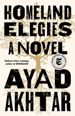 Homeland Elegies foto