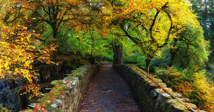 Fototapet Pod de piatra, 250 x 200 cm