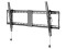 Foto  - 1