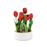 Cumpara ieftin Lalele artificiale rosii in ghiveci ceramica alba 18,5 x 32 cm
