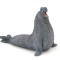 Papo figurina elefant de mare