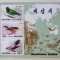 Coreea 1996 pasari migratoare 3v Klb. nestampilata, Korea 1996