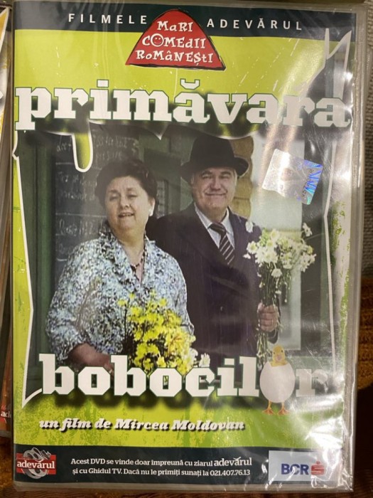 DVD Nou Primavara Bobocilor, film de Mircea Moldovan, Dem radulescu Tamara Buciuceanu