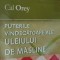 PUTERILE VINDECATOARE ALE ULEIULUI DE MASLINE
