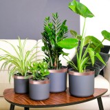 vidaXL Bandă din cupru 6 pcs Cupru 2000 x 5 cm