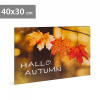Decalcomanie murală cu LED-uri - &quot;Hello Autumn&quot; - 2 x AA, 40 x 30 cm