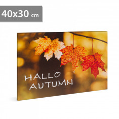 Decalcomanie murală cu LED-uri - "Hello Autumn" - 2 x AA, 40 x 30 cm