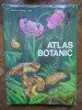LUCIA POPOVICI--ATLAS BOTANIC 1993 (format mare CARTONAT)