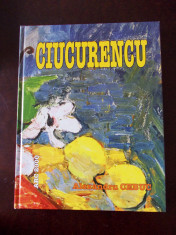 CIUCURENCU- ALEXANDRU CEBUC, 2004, cartonata, r1b foto