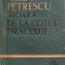 MOARA DE LA COTUL DRACULUI-CEZAR PETRESCU-269756
