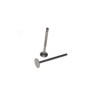 Supape scuter 4 T Piaggio Zip-Fly 50 cc (set 2 bucati)