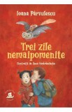 Trei zile nemaipomenite - Ioana Parvulescu