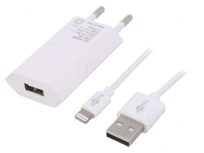 Alimentator pulsatoriu 5VDC 5W cu ștecher EU alb foto