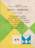 SEFA-DISROM Sistem si metoda. Volumul al II-lea, Problematica stadiilor de fabricare, omologare, exploatare, depozitare, reparare, triere, recondition
