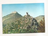 FA157 - Carte Postala - ITALIA - Cassion. Rocca Janula e Montecassino, circulata 1965