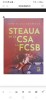 Steaua de la csa la fcsb-dan silviu boerescu