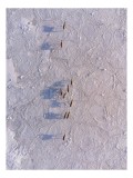 Tablou Canvas, "Siluete &icirc;n mișcare pe zăpadă albă", Nu știu cine este &icirc;n imagine., 26 x 39 cm, CMCLASS