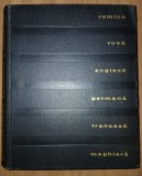 Dicționar tehnic poliglot - rom&acirc;nă, rusă, engleză, germană, franceză, maghiară