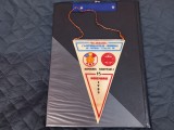 Fanion Romania - Danemarca