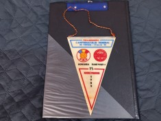 Fanion Romania - Danemarca foto