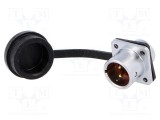 Soclu SF12 WEIPU PIN: 2 IP67 13A 250V 1,5mm2 -40&divide;100&deg;C