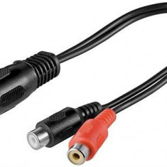 Cablu adaptor DIN tata 180 5 pini la 2x RCA mama 0.2m Goobay