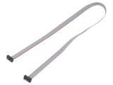 Cablu panglică SAMTEC IDC 393,7mm FFSD-05-D-15.50-01-N cu conectori pe ambele părți