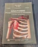 Anatomie peretii trunchiului si membrele lucrari practice G. Lupu