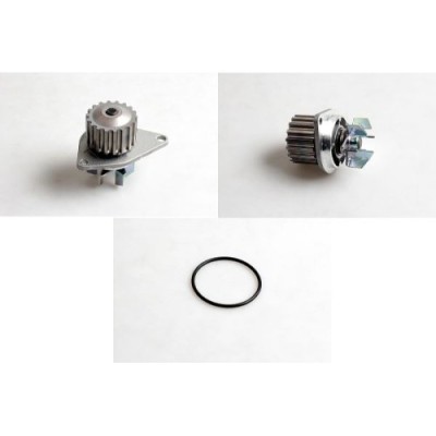 Pompa apa Hepu P804 foto