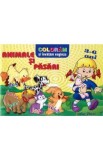 Coloram si invatam engleza 3-6 ani. Animale si pasari