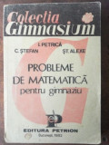 Probleme de matematica pentru gimnaziu- I. Petrica, C. Stefan