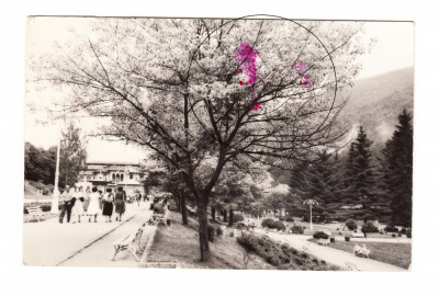 CP Slanic Moldova - Vedere, RPR, circulata 1964, cu pete centrale foto