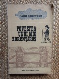 Povestea unui mic zdrentaros &ndash; James Greenwood