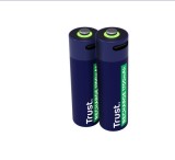 Cumpara ieftin Baterii reincarcabile AA Trust, incarcate prin USB-C, putere intrare 1.2W,