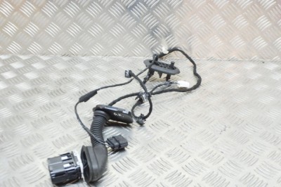 Cablaj ușă st&amp;acirc;nga spate FORD FIESTA VII 2019 11661107 foto