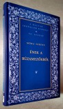 Enek a buzamezokrol - Mora Ferenc