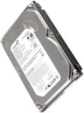 123. HARD DISK PC Seagate Barracuda ST3160815AS 160GB 7200 RPM SATA 3.0Gb/s