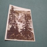 Cumpara ieftin CARTE POSTALA DRUMUL SPRE BORSEC CIRCULATA