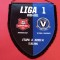Fanion (protocol-oficial)meci HERMANNSTADT(Sibiu)-VIITORUL Constanta(13.03.2021)