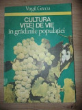 Cultura vitei de vie in gradinile populatiei- Virgil Grecu