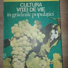 Cultura vitei de vie in gradinile populatiei- Virgil Grecu